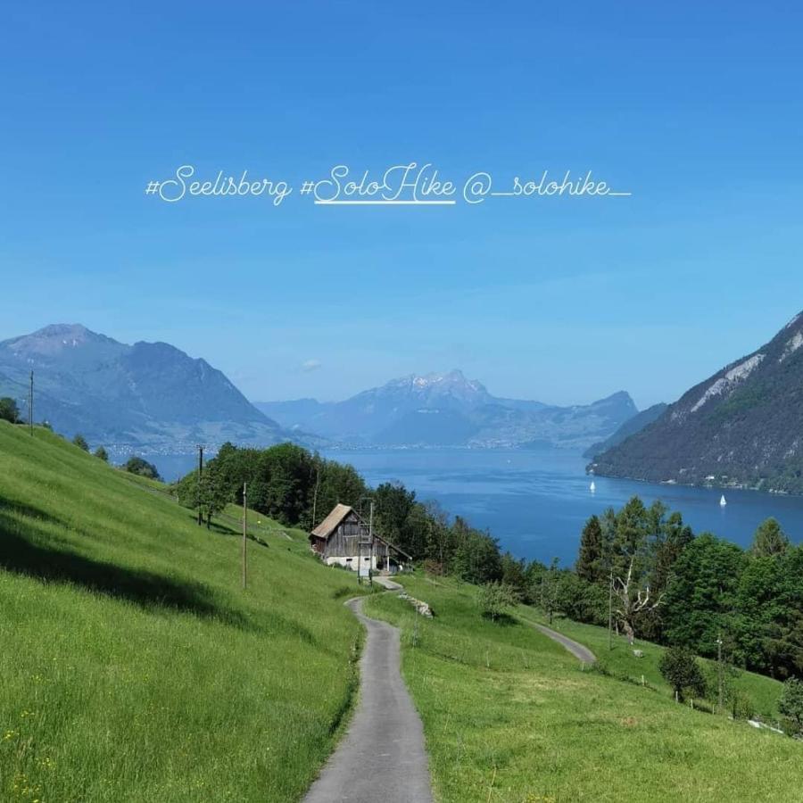 Schoene Ferienwohnung In Traumlage Fewo Solohike Seelisberg Bagian luar foto