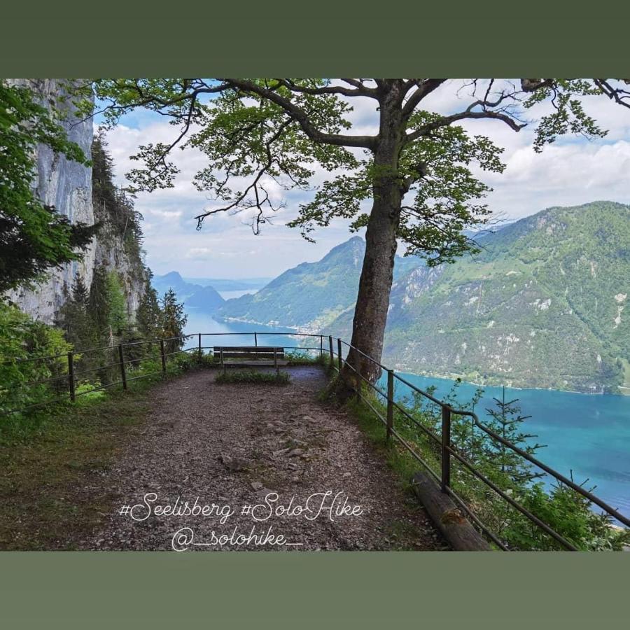Schoene Ferienwohnung In Traumlage Fewo Solohike Seelisberg Bagian luar foto